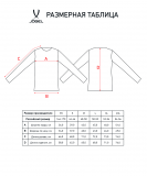 Футболка компрессионная с длинным рукавом Camp PerFormDRY Top LS, гранатовый, размер XS, Jögel УТ-00021385