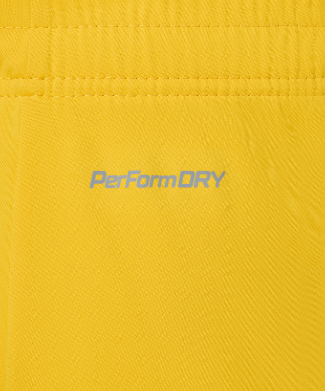 Шорты вратарские JOGEL PREMIER PerFormDRY GK Shorts Yellow, желтый, размер L ЦБ-00004510