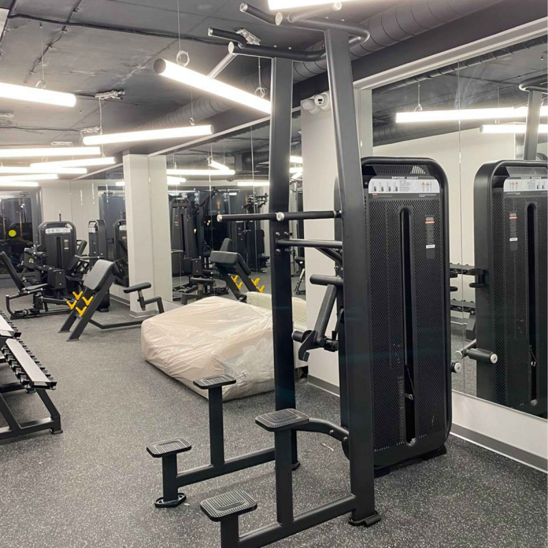 Турник, брусья с противовесом. Стек E7009 110 кг DHZ Fitness