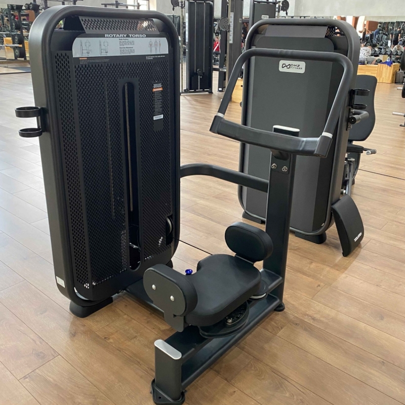 Вращение торса. Стек E7018 65 кг DHZ Fitness