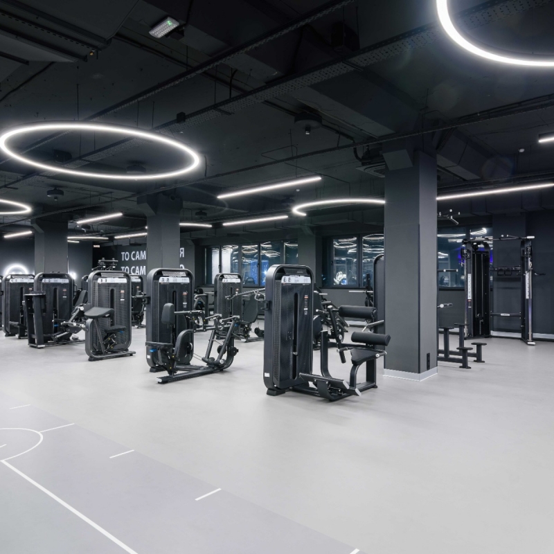 Разгибание спины. Стек E7031 110 кг DHZ Fitness