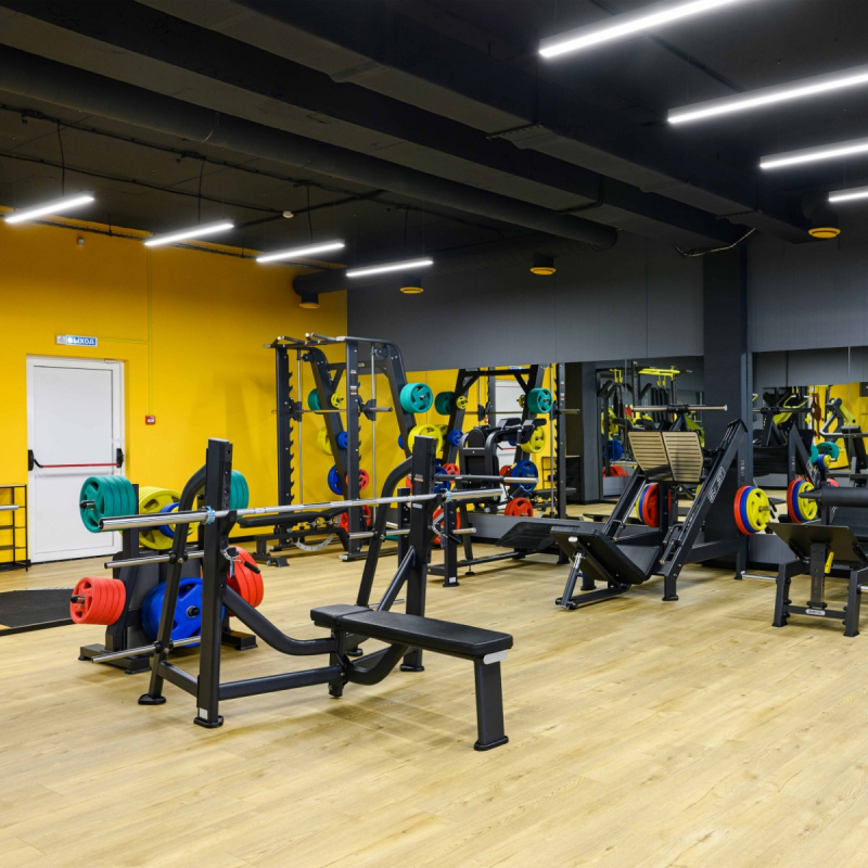 Скамья-стойка для жима штанги лежа E7043 DHZ Fitness