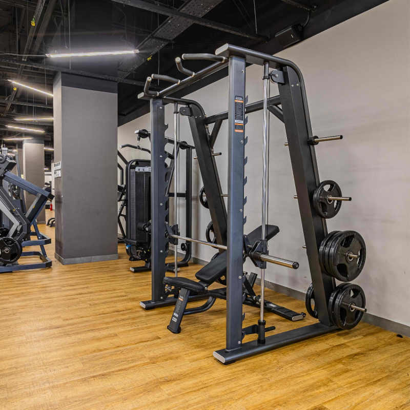 Машина Смита E7063 DHZ Fitness