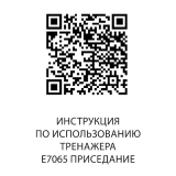 Приседание E7065 DHZ Fitness