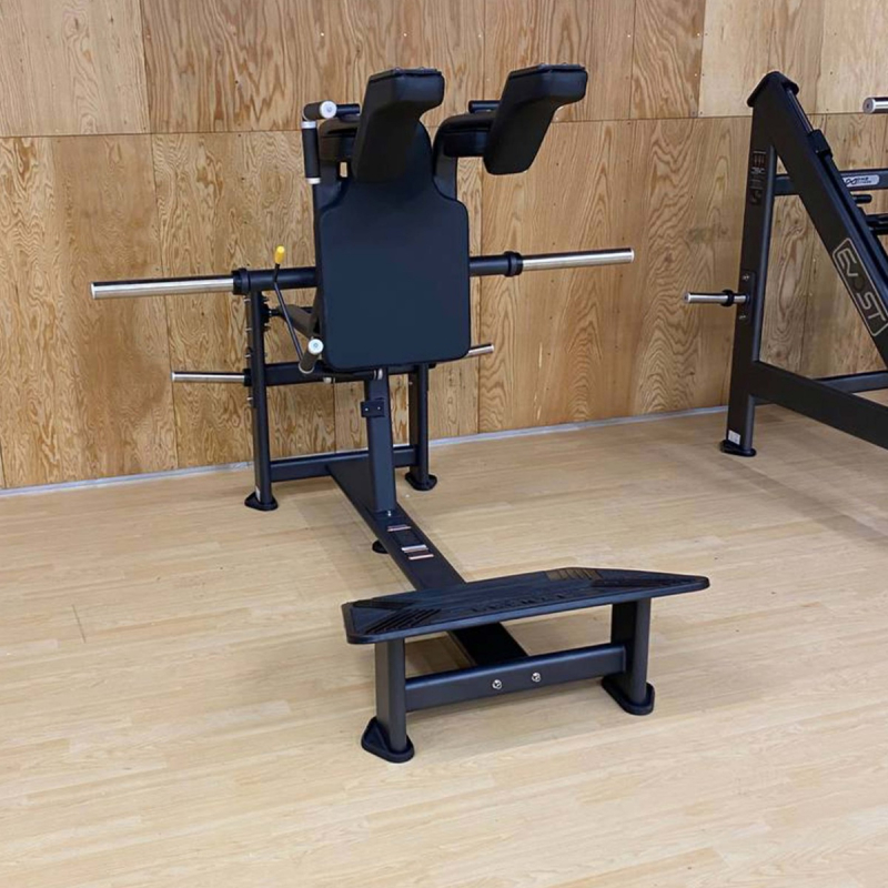 Приседание E7065 DHZ Fitness