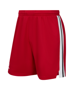 Шорты баскетбольные JÖGEL DIVISION PerFormDRY Shorts R2, красный, размер L ЦБ-00006827