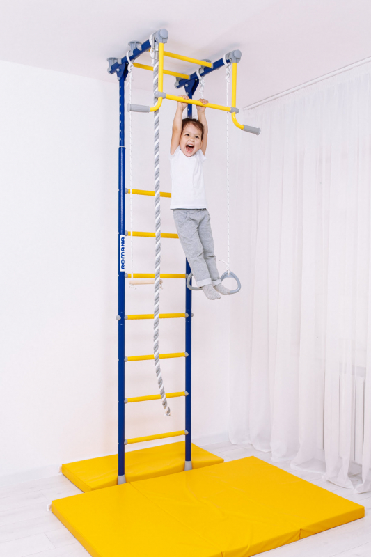 Шведская стенка ROMANA R2 (синяя слива)