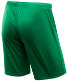 Шорты игровые CAMP Classic Shorts, зеленый/белый, детский, Jögel