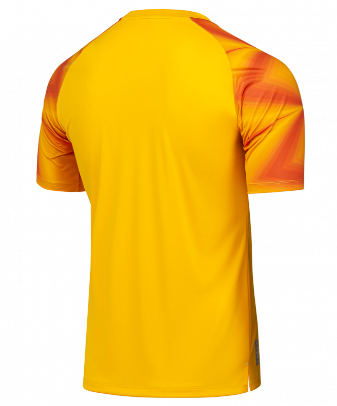 Футболка вратарская JOGEL NATIONAL PerFormDRY GK Jersey, желтый, размер L ЦБ-00003183