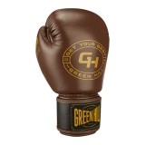 боксерские перчатки THUNDER коричневый/тёмно-коричневый Green Hill THBGSP-12 12oz