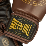 боксерские перчатки THUNDER коричневый/тёмно-коричневый Green Hill THBGSP-12 12oz