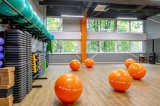 Гимнастический мяч SKYFIT, 65см