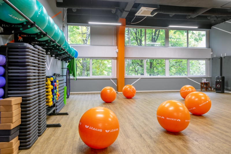 Гимнастический мяч SKYFIT, 65см