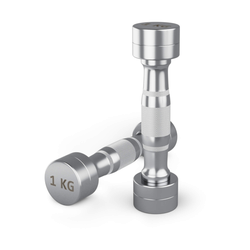 Гантель UNIX Fit PRO круглая хромированная 1 кг, 2 шт DBRND1PCEx2