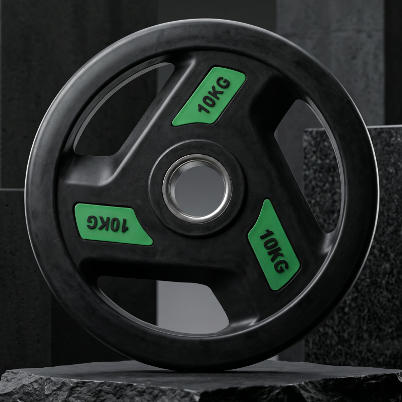 Диск обрезиненный c хватом UNIX Fit PRO 10 кг, 51 мм, 1 шт DG10RUBPGR