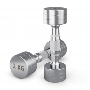 Гантель UNIX Fit PRO круглая хромированная 2 кг, 2 шт DBRND2PCEx2