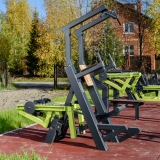 Уличный тренажер Гравитрон с переменной нагрузкой ZAVODSPORTA P-1803