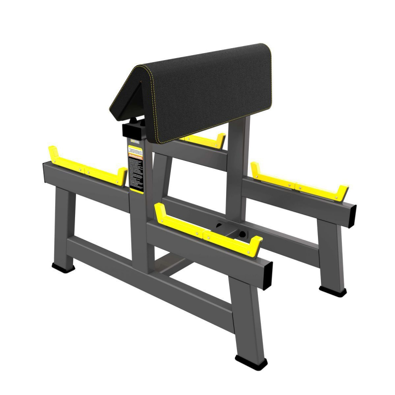 Скамья для бицепса. Скамья Скотта A2044 TANGEN