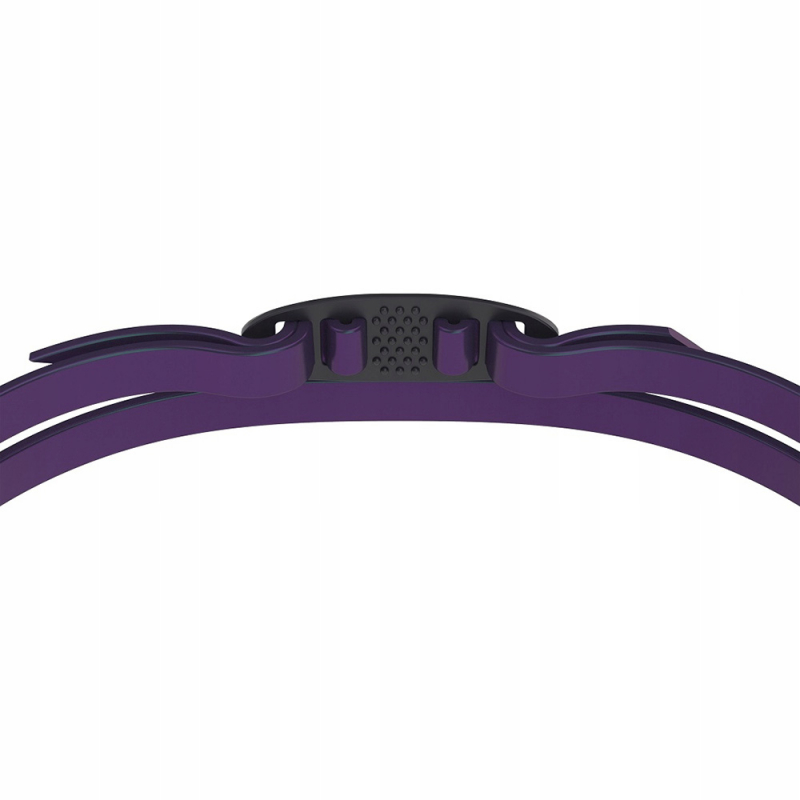 Очки для плав. SPEEDO Vanquisher 3.0 Mirrored, 8-00473700334, ЗЕРКАЛЬНЫЕ линзы, фиолетовая оправа