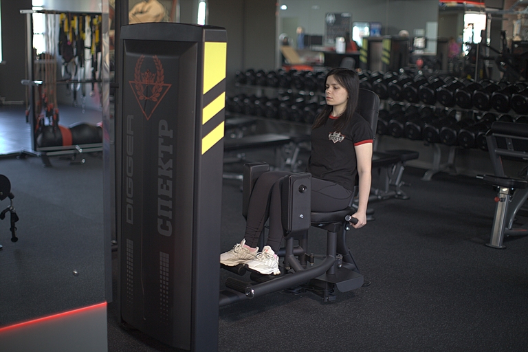 Сведение/разведение ног сидя Hasttings Digger HD020-1