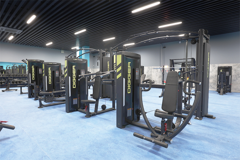 Жим от груди с независимыми рычагами Hasttings Digger HD035-1