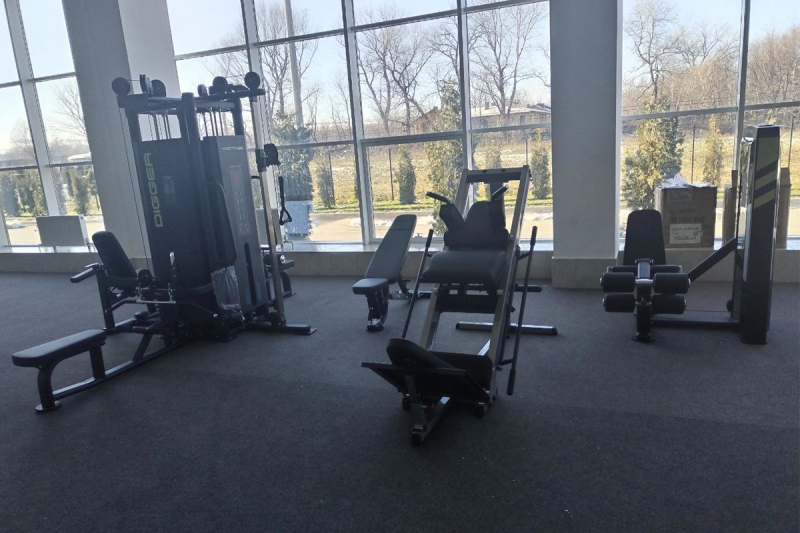 Сгибание ног лёжа/разгибание ног сидя Hasttings Digger HD031-1