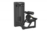Разгибание спины Spirit SP-4310