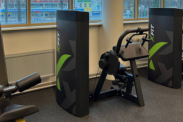 Трицепс Spirit SP-4308