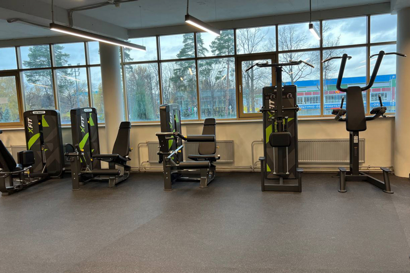 Сгибание ног сидя Spirit SP-4306