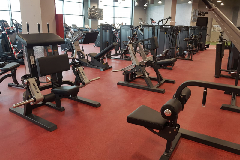 Сгибание ног стоя Spirit SP-4512