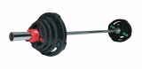 Штанга 53 кг (диски 50 мм с двумя хватами, гриф 180 см) Original FitTools FT-2HGSET-53-OB72