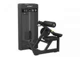 Разгибание спины Spirit SP-4310