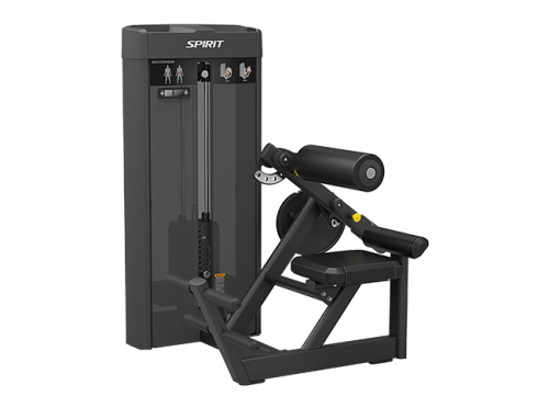 Разгибание спины Spirit SP-4310