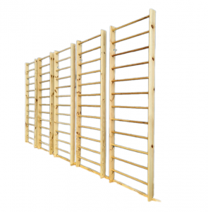 Стенка гимнастическая Дельта-фитнес, 2000х800 мм., круглые перекладины, береза/сосна