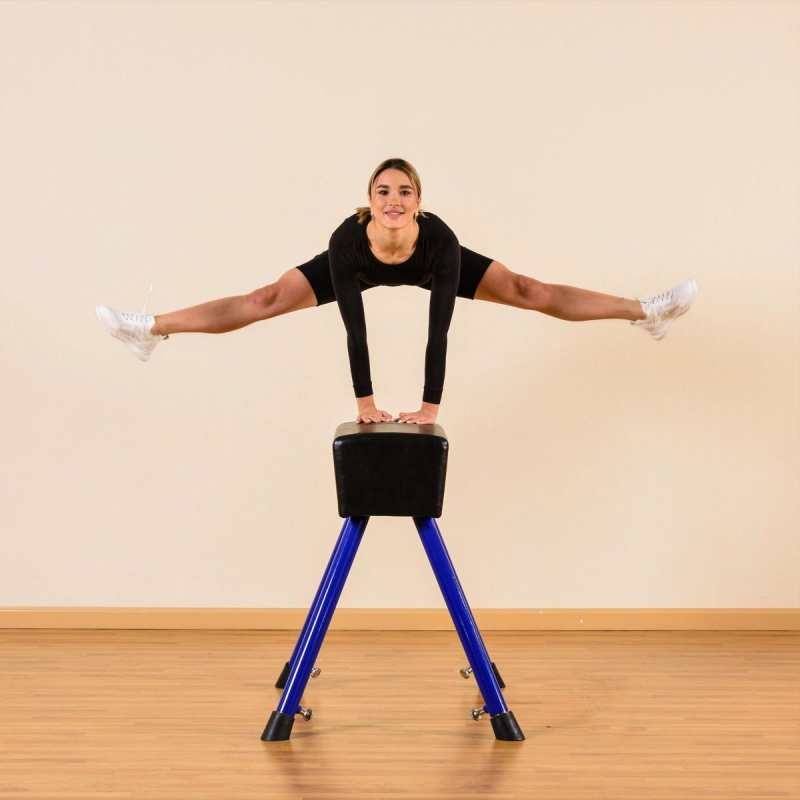 Козел гимнастический переменной высоты ZAVODSPORTA