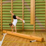 Бревно гимнастическое напольное 3 м ZAVODSPORTA