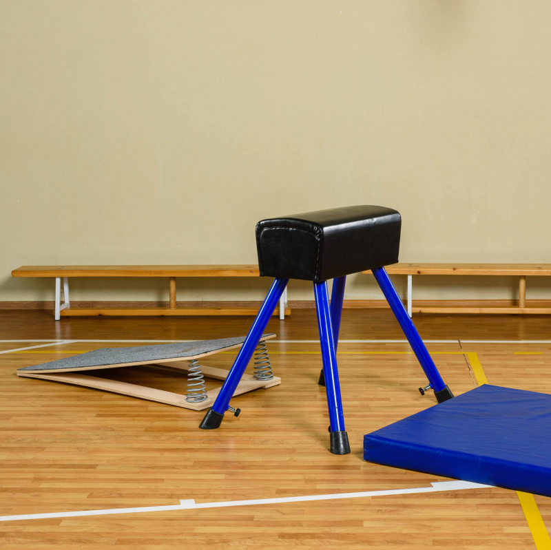 Мостик гимнастический подкидной ZAVODSPORTA