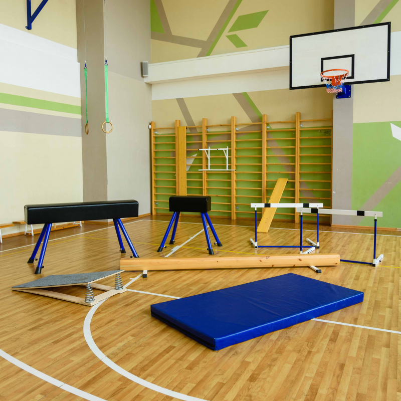 Мат гимнастический (ПВХ 500, без поролона) 1x2x0.1 м ZAVODSPORTA