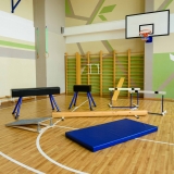 Мат гимнастический (ПВХ 630, без поролона) 1x2x0.1 м ZAVODSPORTA