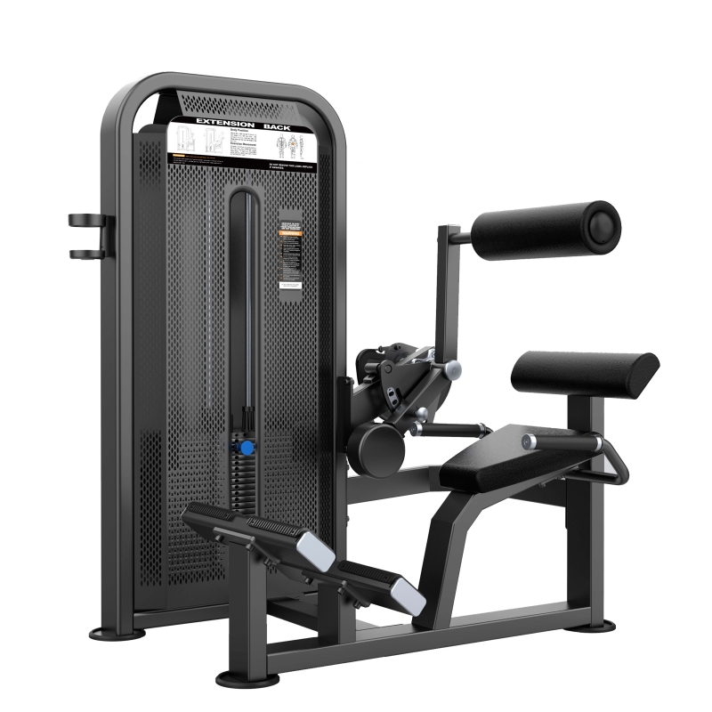 Разгибание спины. Стек U3031D 109 кг DHZ Fitness