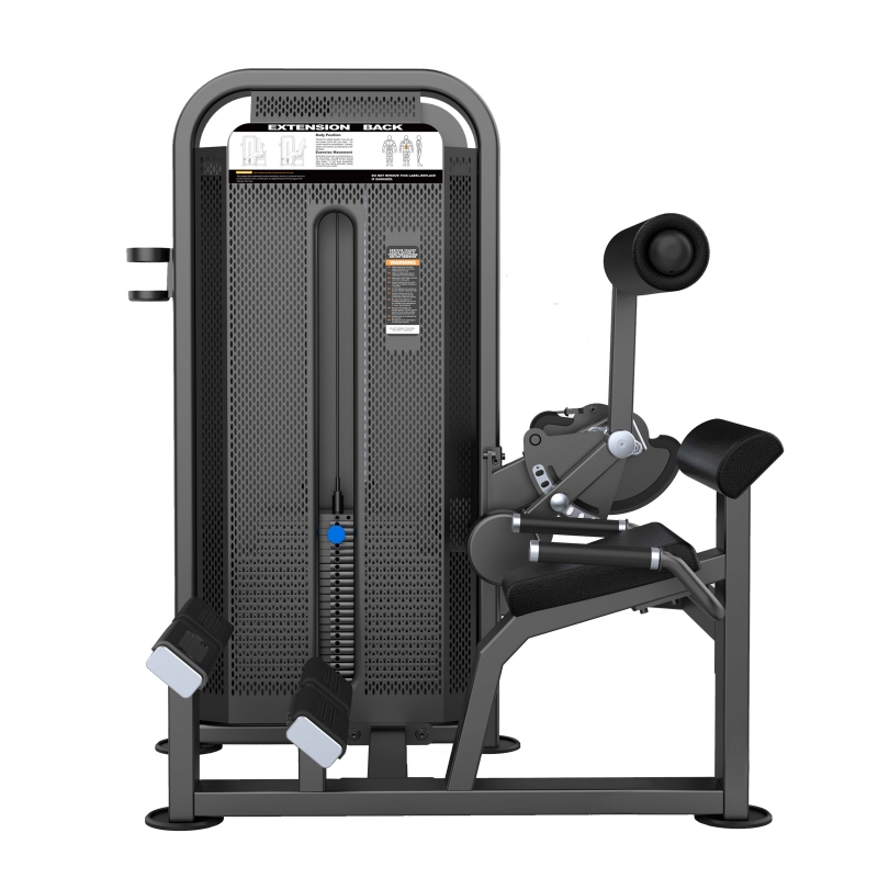 Разгибание спины. Стек U3031D 109 кг DHZ Fitness