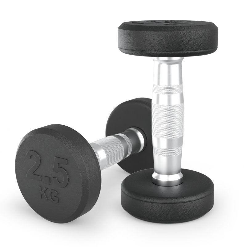 Гантель UNIX Fit PRO круглая обрезиненная 2.5 кг, 2 шт DBRND2_5PBKx2