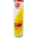 Мяч теннисный WILSON Championship, WRT110000, одобр.ITF и USTA, фетр, нат.резина, уп.4 шт, желтый